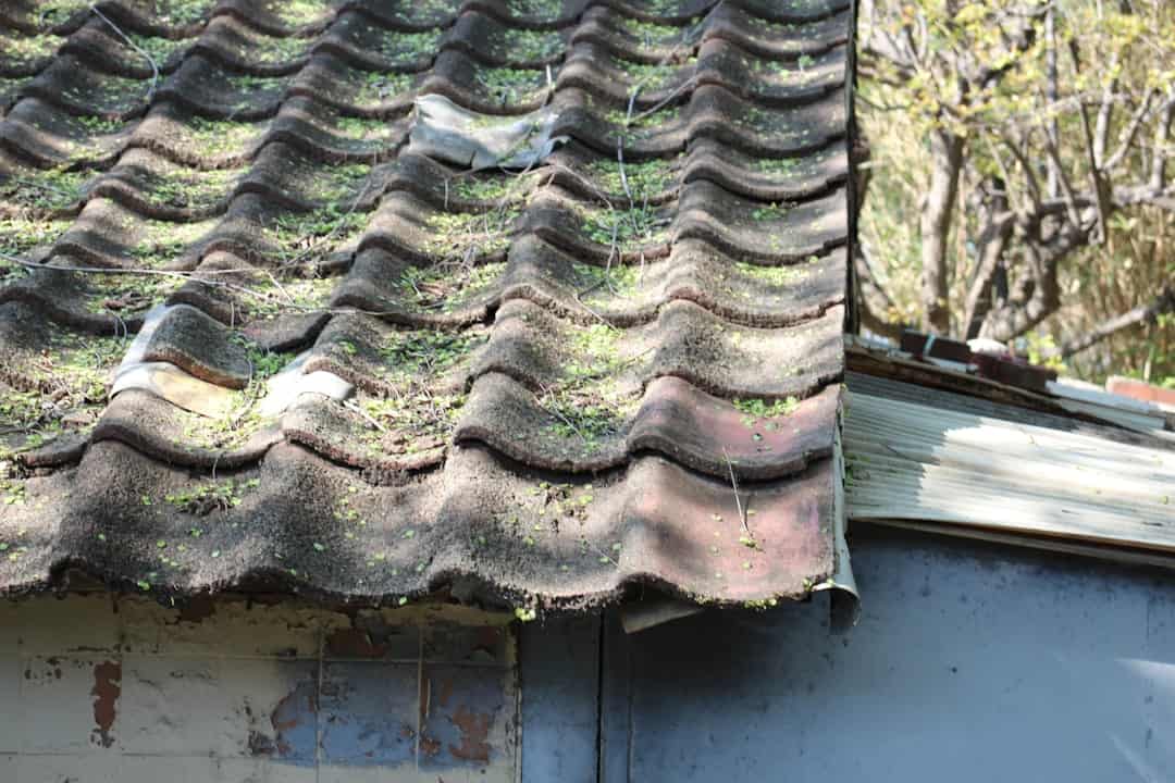 The Rochester Roof Droop: Understanding and Addressing Sagging Rooflines