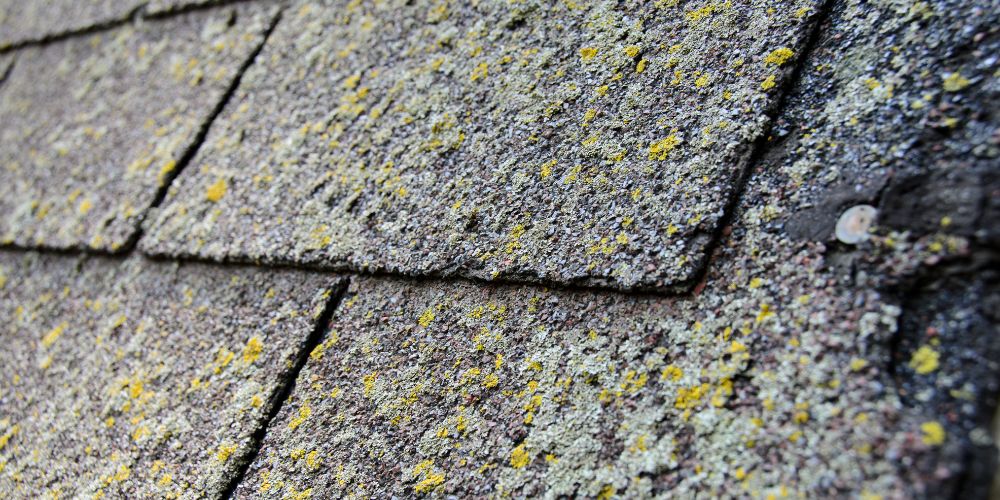 How to Remove Moss From Your Roof