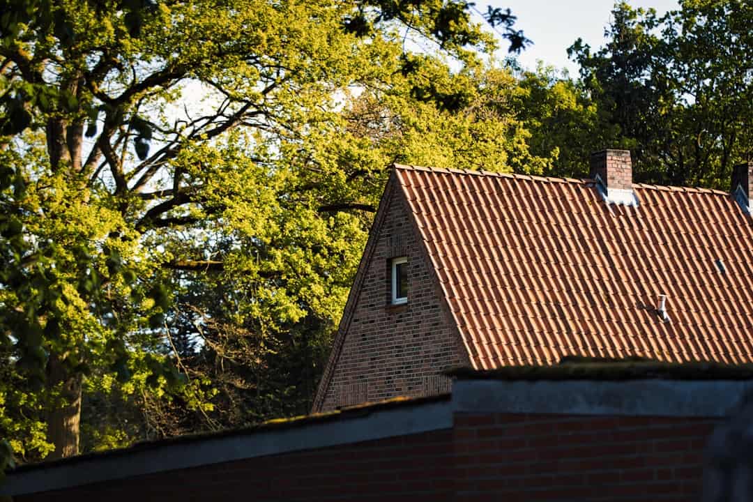 Rochester Roof Maintenance: Expert Tips for Affordable & Professional Service