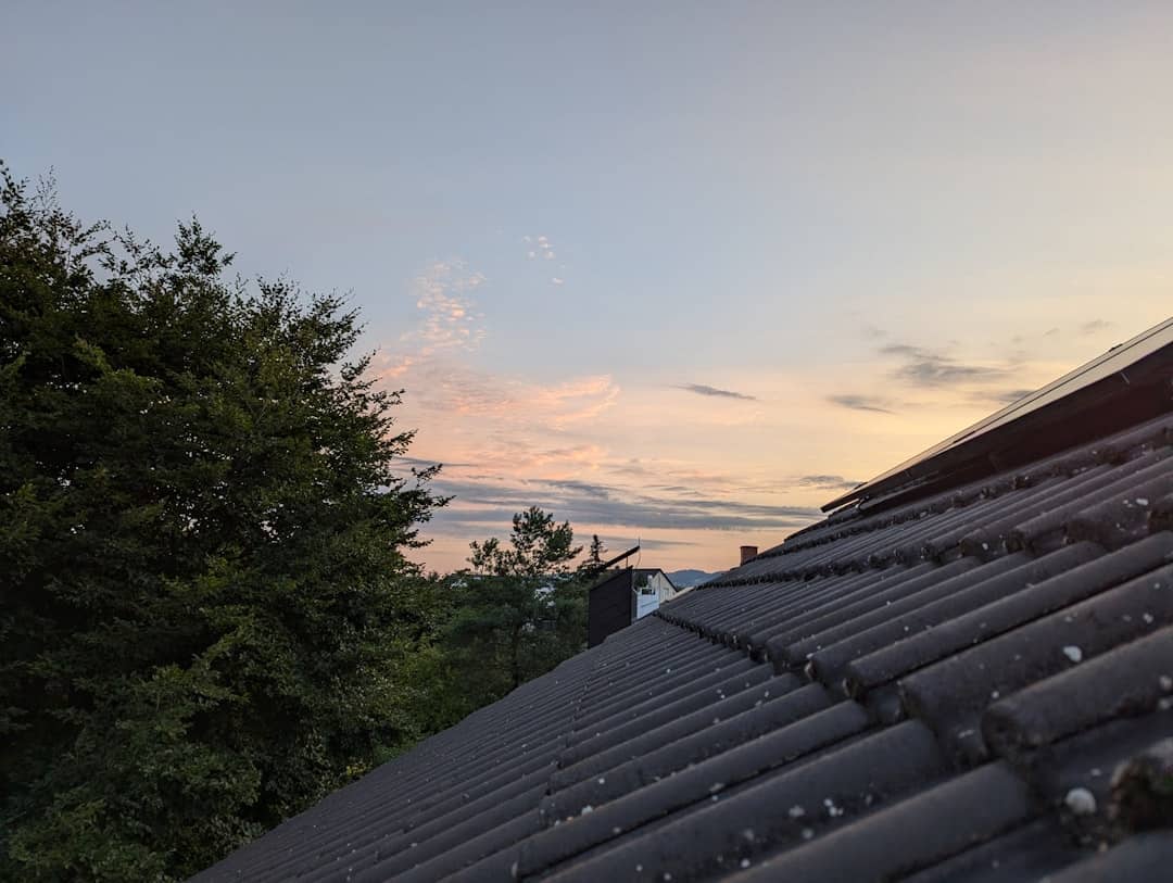 Pine-ing for a New Roof? Unpacking Tall Pines Roofing in Rochester