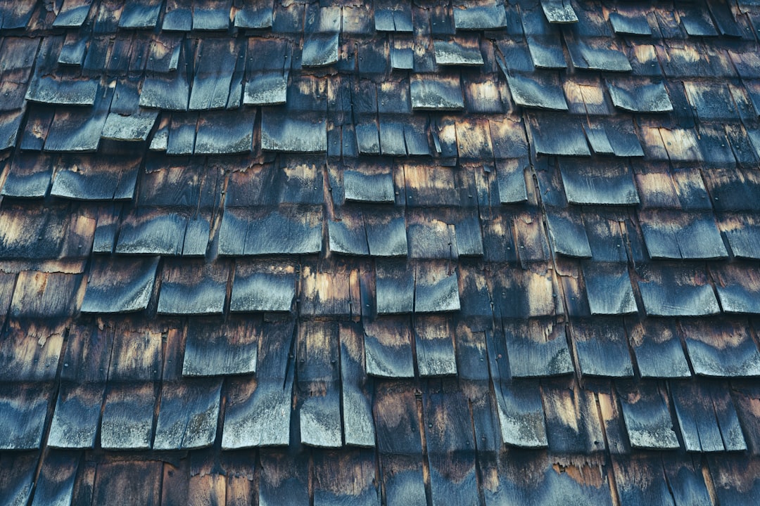 The Truth About How Atlas Shingles Perform in Harsh Weather