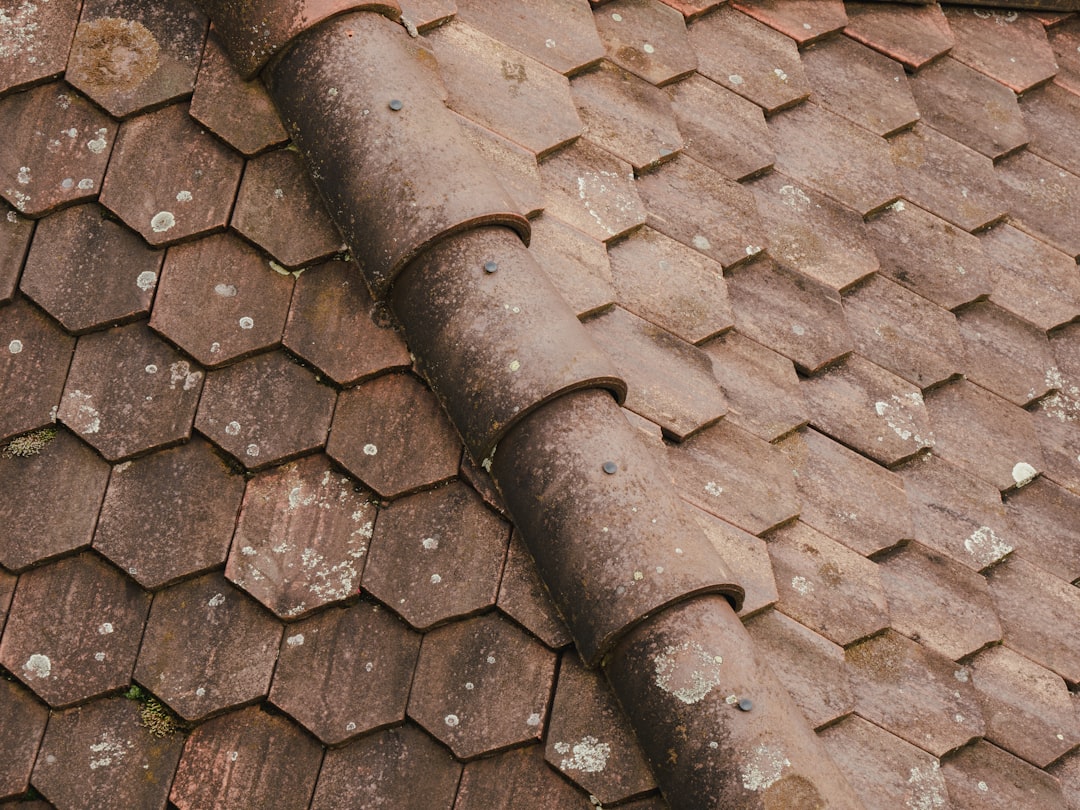 Warning Signs of Roof Damage Most Homeowners Miss