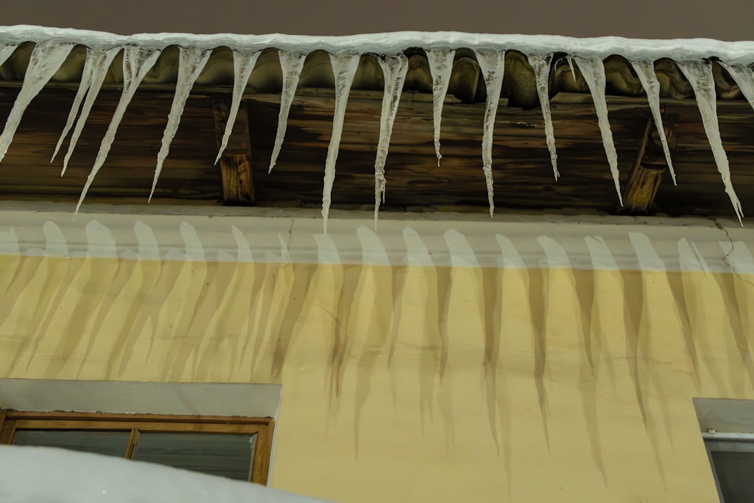 Was it Just a Flurry? How to Spot Ice Damage on Your Roof