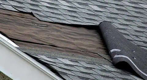When to file an insurance claim for wind damage