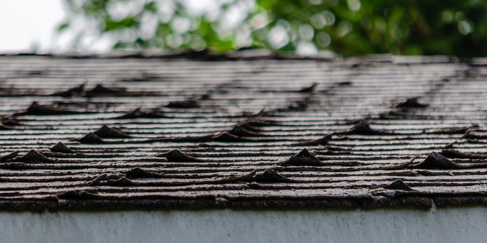 Why Are My Shingles Curling?